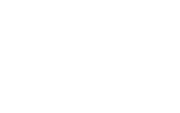 Michelotti S.A